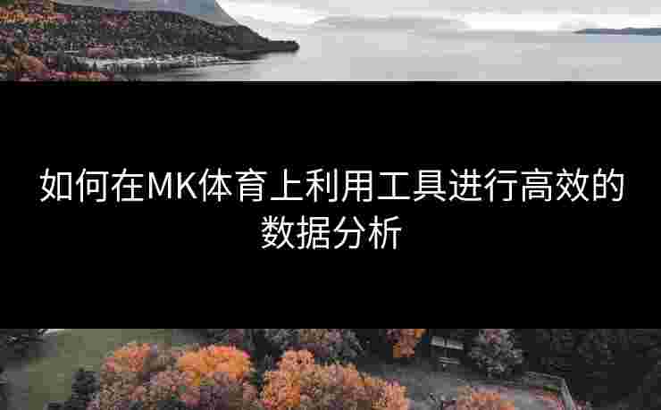 如何在MK体育上利用工具进行高效的数据分析